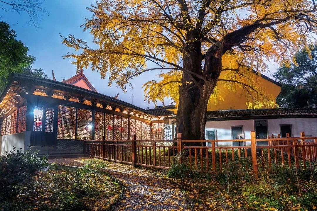 1774011519598288.png 1774011519598288.png